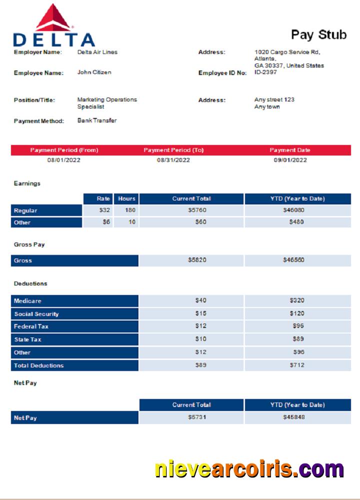 USA Delta Air Lines airlines company pay stub